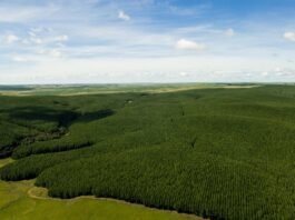 Guararapes apresenta relatório de sustentabilidade