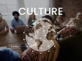 Inovação e cultura pautam decisões estratégicas em empresas