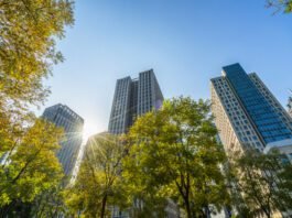 Empresas avançam na estratégia ESG, mas falham na prática