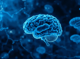 Neurociência reforça gestão de equipes em ambientes de saúde