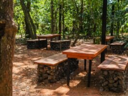 Uberlândia ganha primeiro parque dentro de floresta preservada