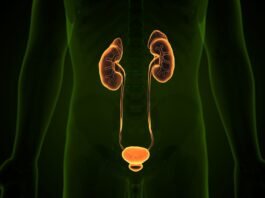 Tecnologia transforma tratamentos na urologia moderna