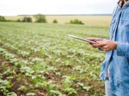 Agro em transformação: tecnologias devem redefinir o campo
