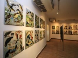 Curadora do legado de Goeldi retorna à Amazônia para a COP30