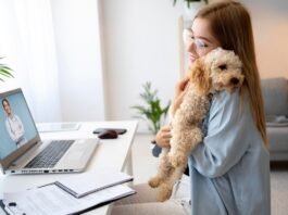 Telemedicina veterinária avança e muda rotina de atendimento