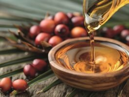 Lubrificação industrial impacta na indústria do óleo de palma