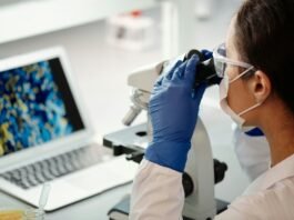 Cannabis medicinal apresenta avanço na medicina de precisão