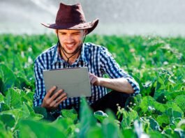 Tecnologia brasileira impulsiona a inovação no agronegócio