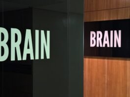 BRAIN se consolida como hub de influência no Centro-Oeste brasileiro