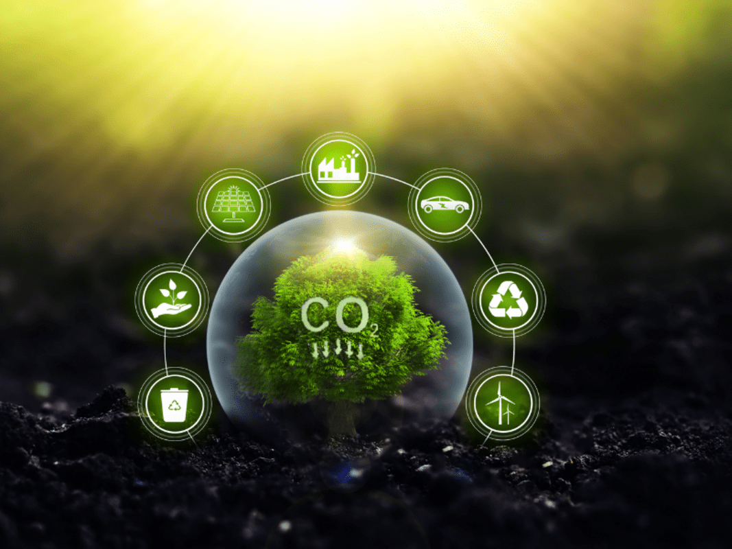 FutureClimate integra iniciativa global de remoção de CO₂ FutureClimate integra iniciativa global de remoção de CO₂