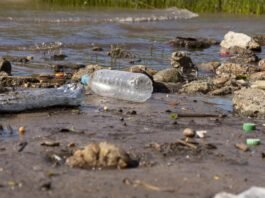 Humanidade gera mais de 400 milhões de toneladas de plástico