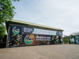 Paranavaí sediará a 4ª Feira Internacional da Mandioca