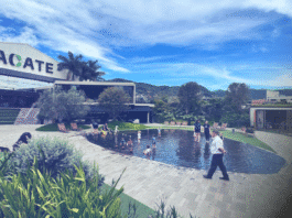 Nexxera leva experiência em disrupção ao Fintech Trends 2025