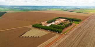 Grupo Bom Jesus implementa novas práticas de governança