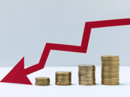 Carga tributária impacta no crescimento da economia