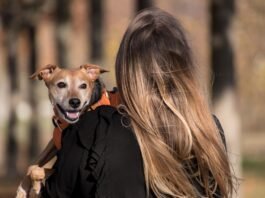 Grupo Colina dos Ipês lança plano funerário para animais de estimação