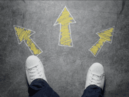 Orientação vocacional ganha novo papel nas escolas