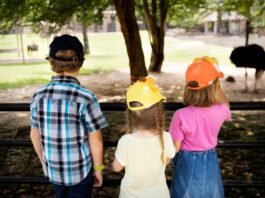 Recesso escolar exige adaptação para famílias de crianças com TEA