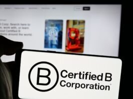 Como as Empresas B têm se diferenciado no mercado