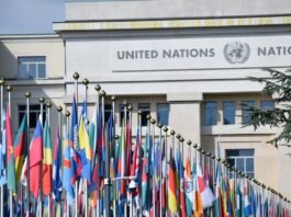 Brasileiro integra iniciativas da ONU nos Estados Unidos