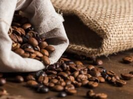 Minas Gerais reforça protagonismo na produção de cafés