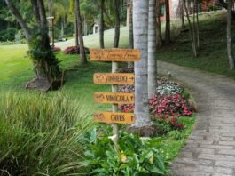 Enoturismo amplia concorrência e exige diferenciação