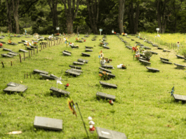 Concessão de Cemitérios de São Paulo completa três anos