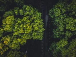 Empresas se adaptam às novas exigências de sustentabilidade