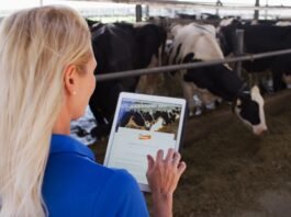 Canetas emagrecedoras impulsionam consumo de proteína