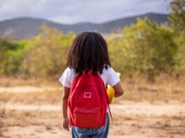 IR 2026 permite doar até 3% do imposto à infância