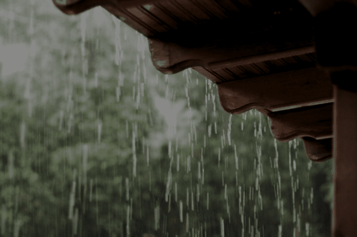 Calor e chuva aceleram avanço da dengue no país