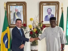Produto brasileiro ganha apoio internacional contra malária