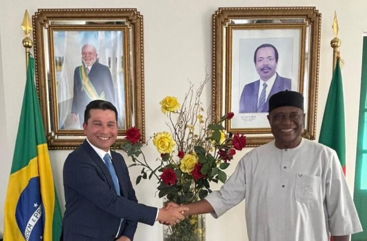 Produto brasileiro ganha apoio internacional contra malária