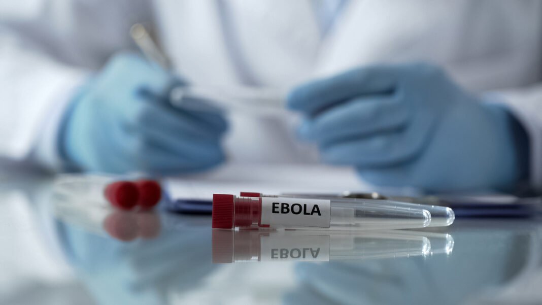 OMS declara emergência internacional por surto de ebola OMS declara emergência internacional por surto de ebola