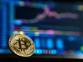 Ripio orienta como declarar criptoativos no Imposto de Renda