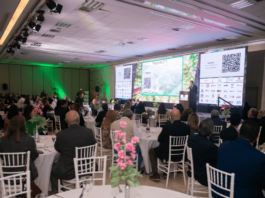 Augusto Cury faz palestra gratuita sobre futuro sustentável