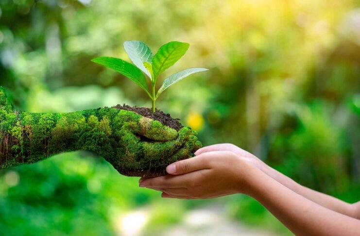 Consciência ecológica rege o comportamento dos ecoturistas