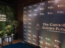 Cannabis medicinal impulsiona debate médico no Brasil