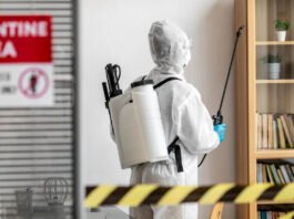 Comércios de São Paulo devem realizar dedetização periódica