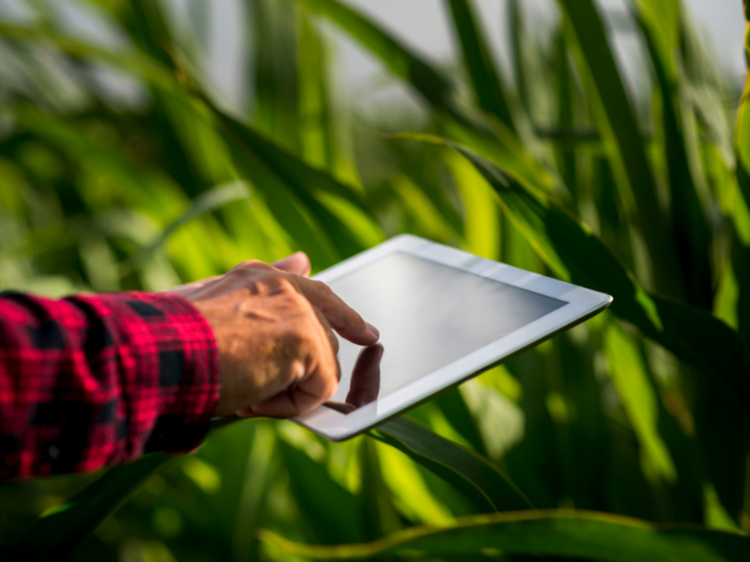 Agro 5.0 impulsiona tecnologia e estratégia no setor Agro 5.0 impulsiona tecnologia e estratégia no setor