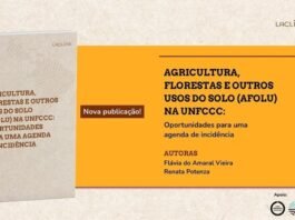 LACLIMA examina uso da terra no regime climático global