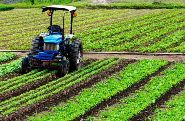 Crédito estruturado apoia mecanização da cafeicultura