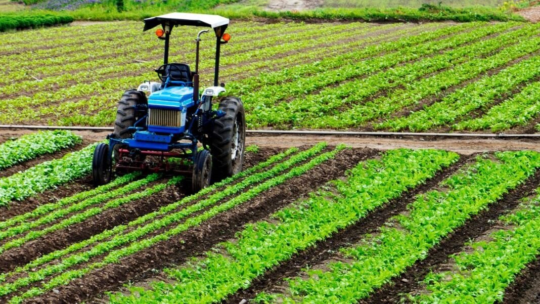Crédito estruturado apoia mecanização da cafeicultura Crédito estruturado apoia mecanização da cafeicultura