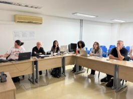 Axía apresenta avanços da pesquisa de cobre em Goiás