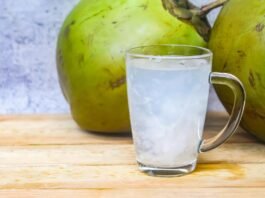 Água de coco ganha espaço no consumo saudável no Brasil