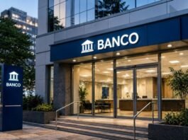 Temenos cresce no Brasil para otimizar setor financeiro