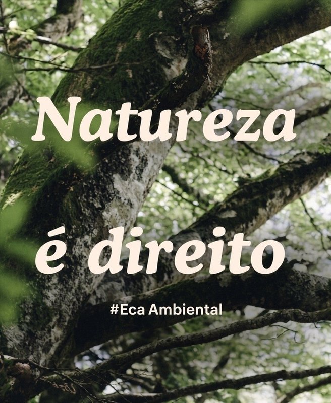 ECA Ambiental é aprovado no Congresso Nacional ECA Ambiental é aprovado no Congresso Nacional