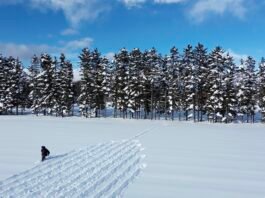 Land Art: artistas transformam natureza em telas